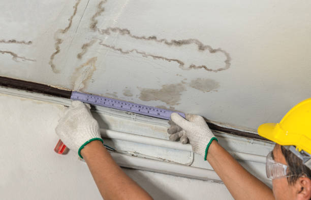 Reliable Emergency Water Damage contractor in Pittsford, MI by Local Water Damage Repair